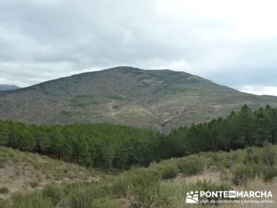 Senda Genaro - GR300 - Embalse de El Atazar -El Atazar - Robledillo de la Jara -Cervera de Buitrago